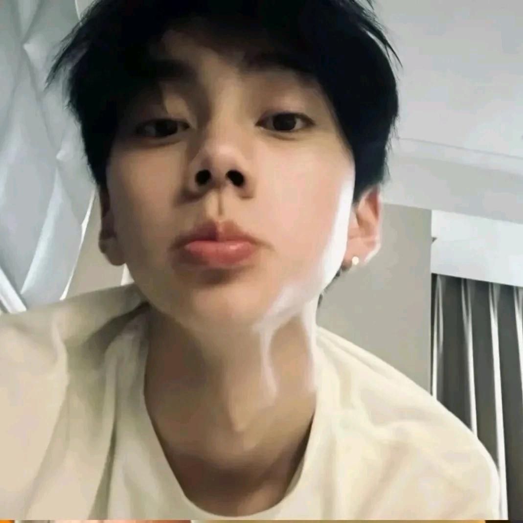 无尾熊