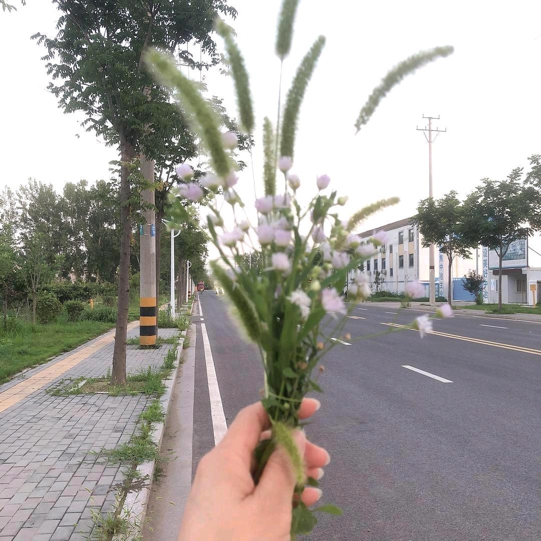 🎋顺其自然☘️