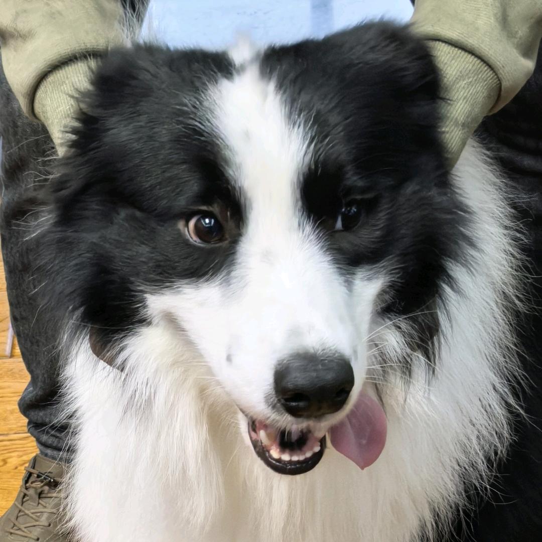 ℒℴѵℯ铭ꦿ໊ོﻬ°will suffi