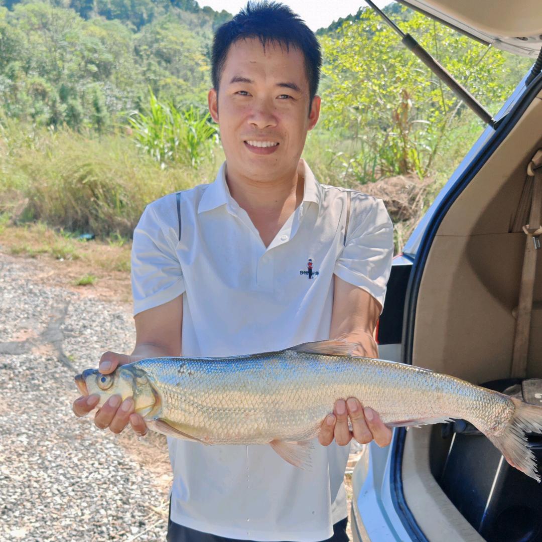 嘉禾县河鱼