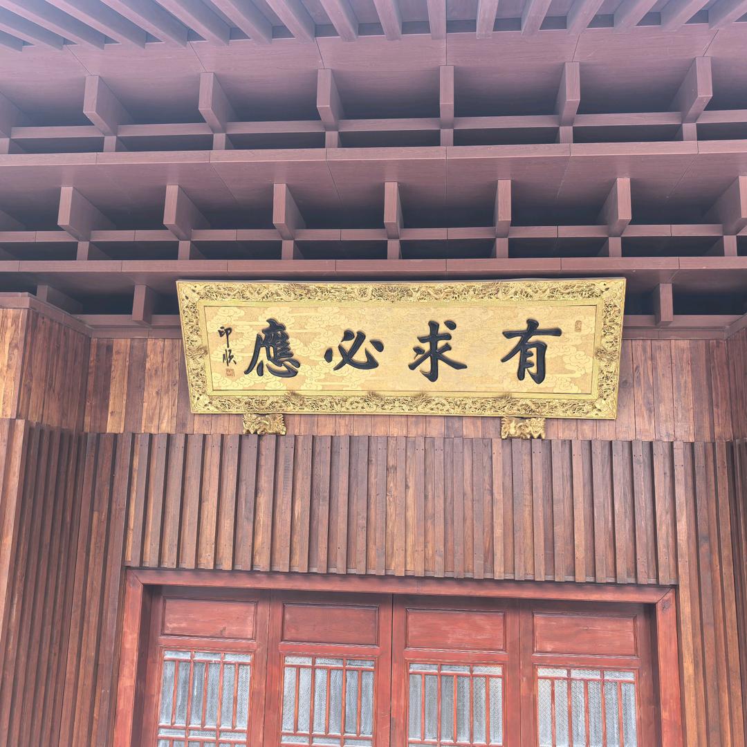 （72）皇百亿🤭🤭