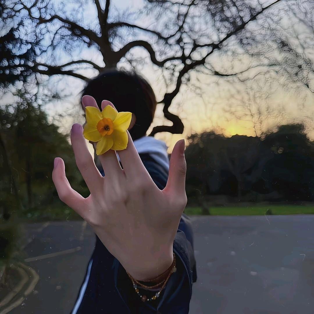 默颜（三角洲手游）