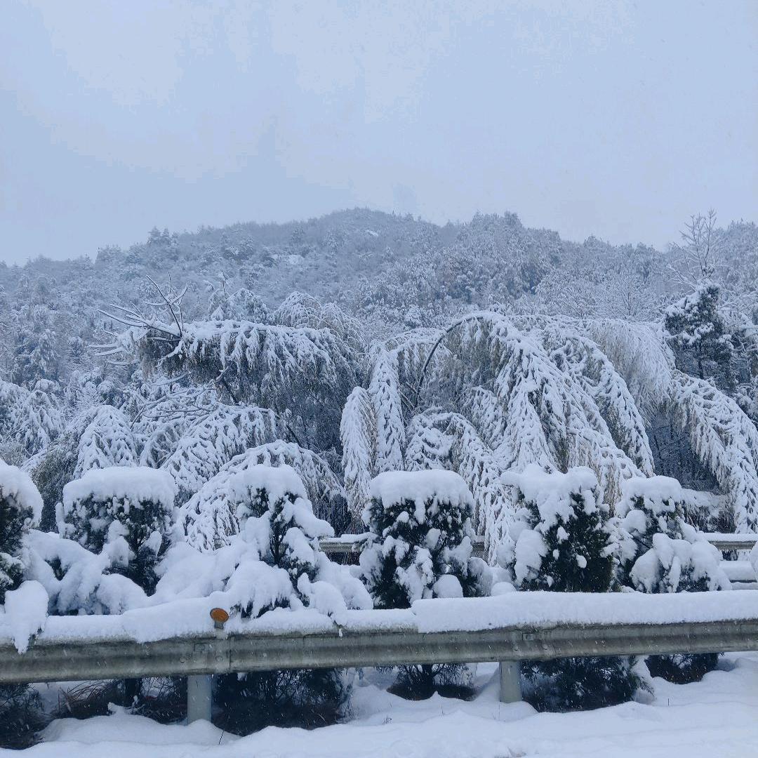 时光你好
