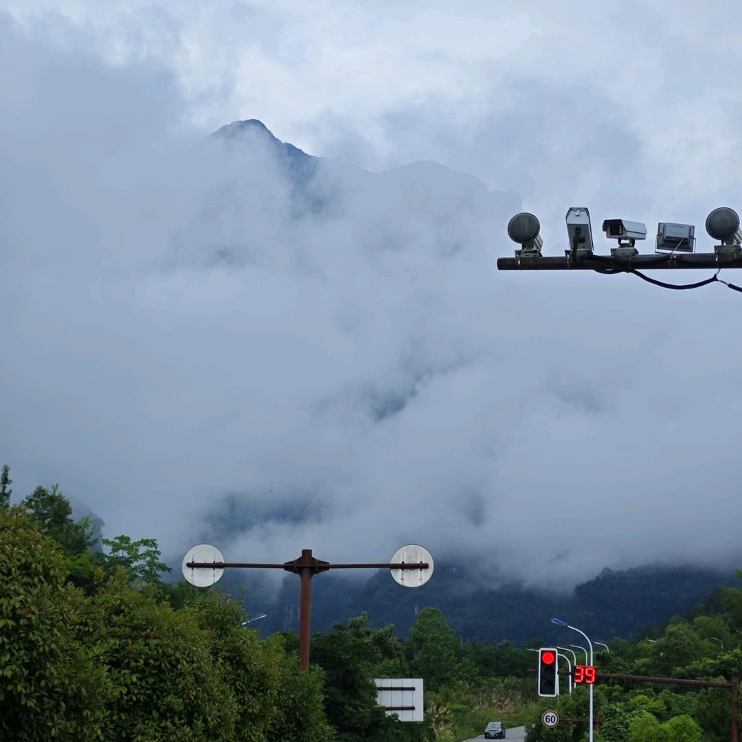 问世间情为何物