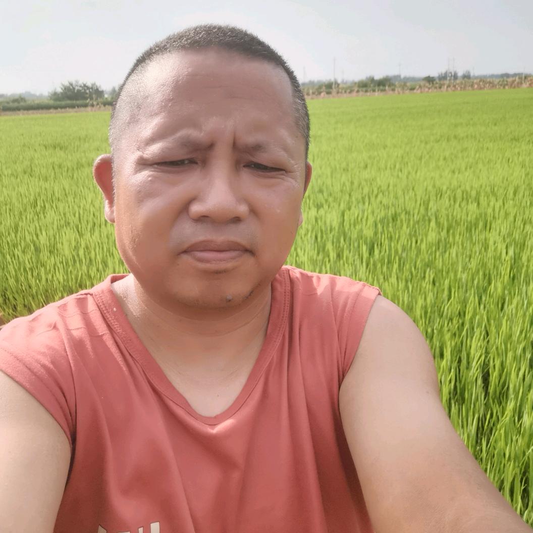 发家致付