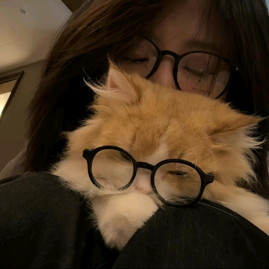 Tnngi:^ღ