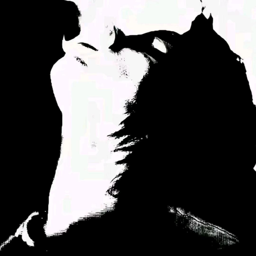 岁月不经谈ᶜᴿ⁷