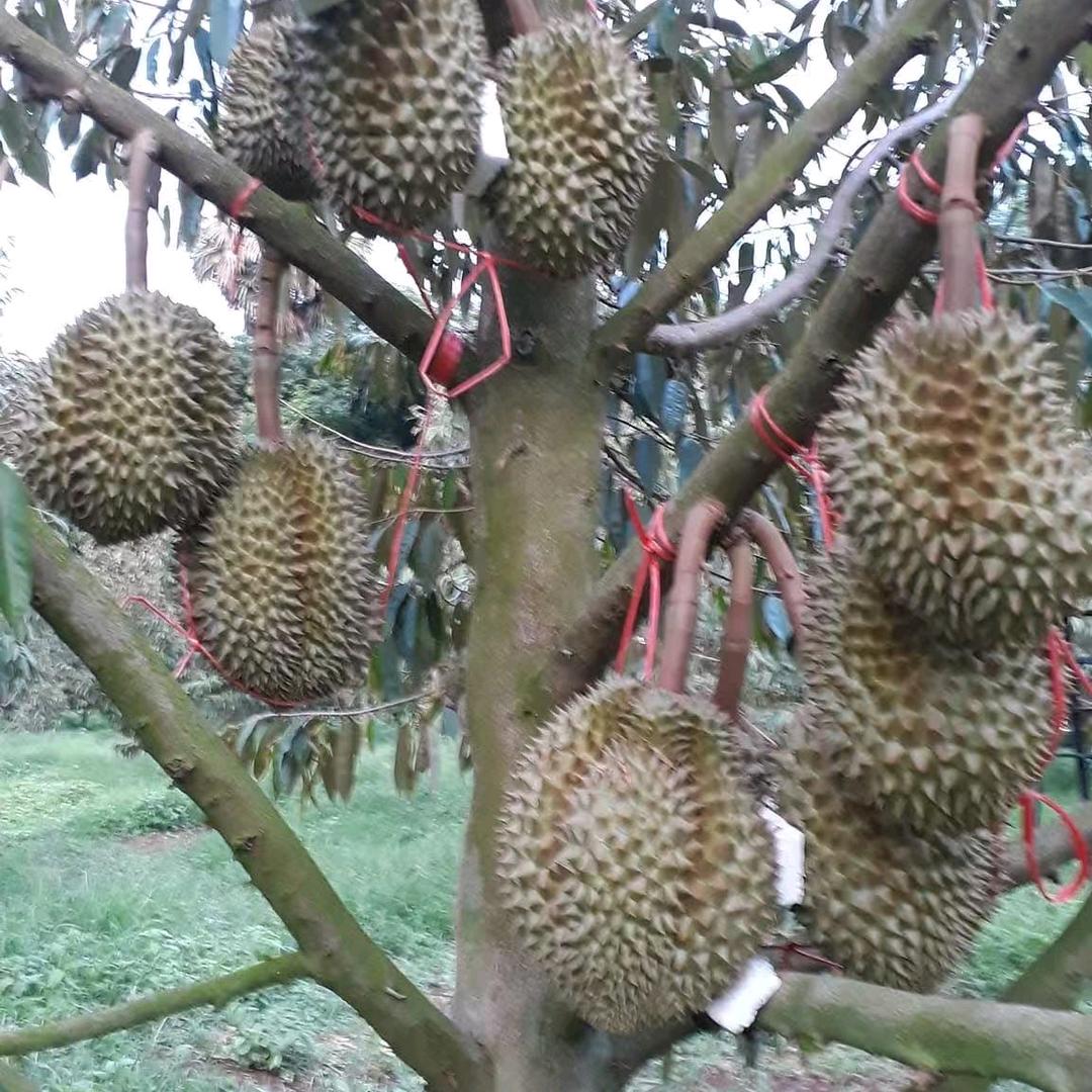 宇恒农业农资产品展示