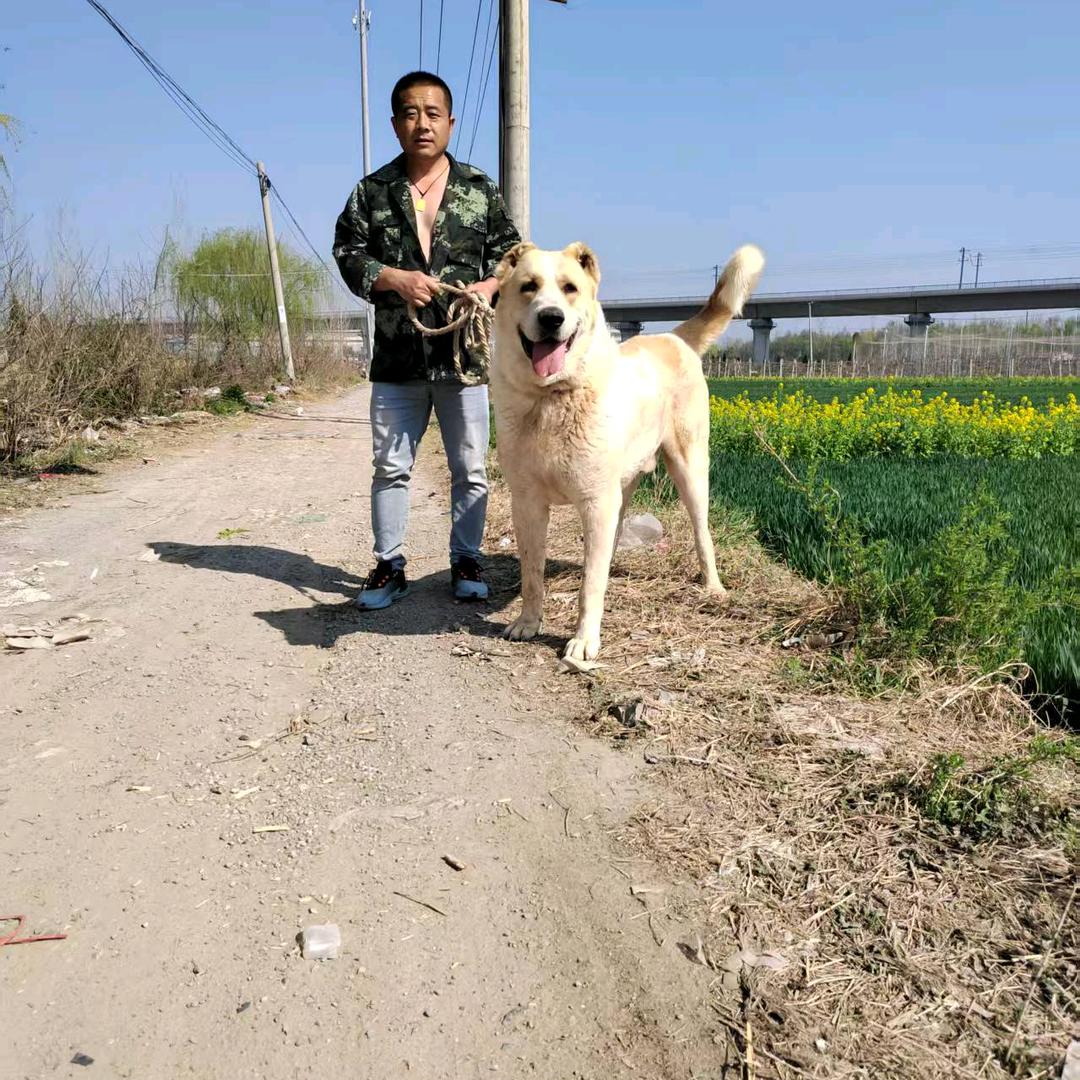 普天之下唯我独尊