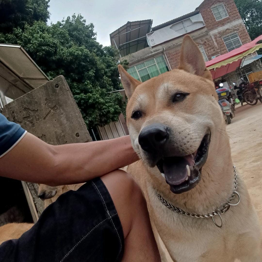 ～桂A~修心养性