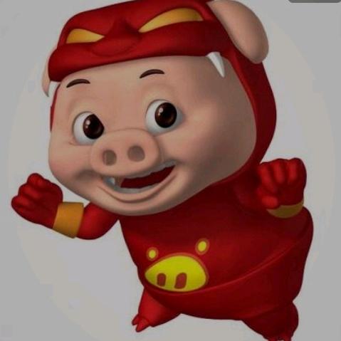 河北经贸小猪猪侠