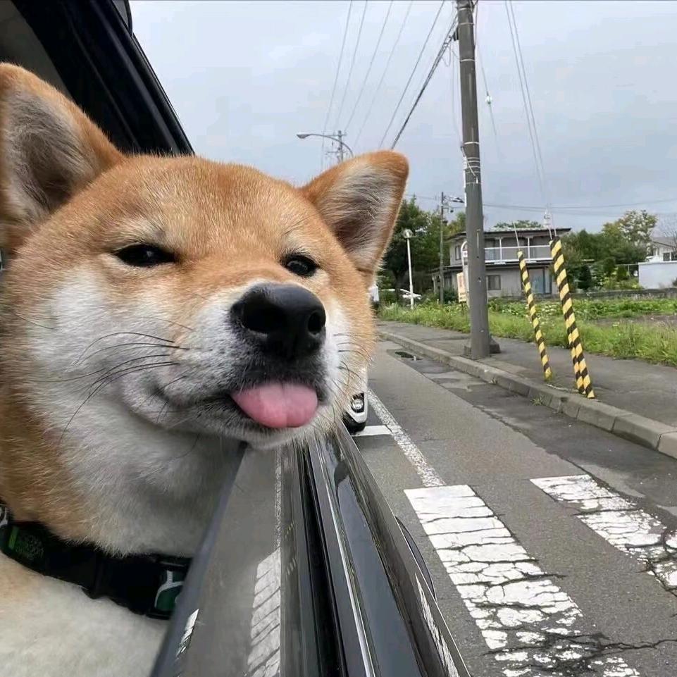 枭魑