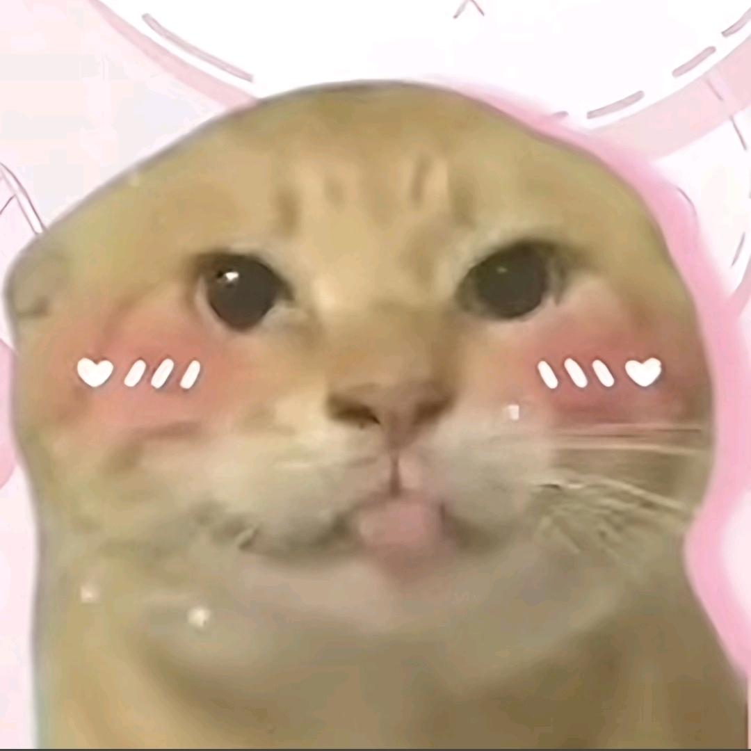 人类