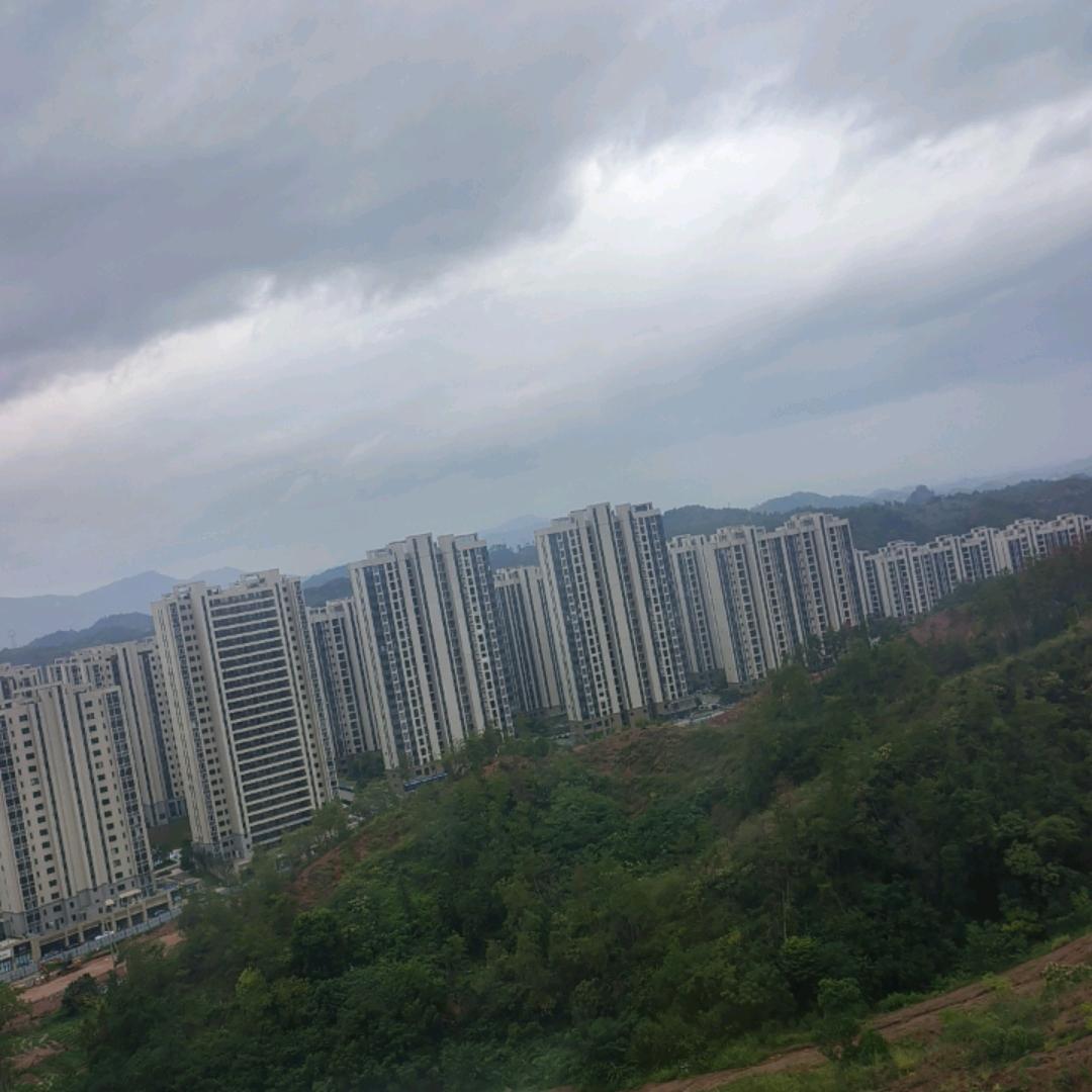 藏锋尝风