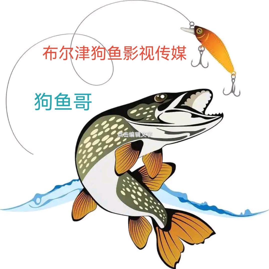 狗鱼影视传媒