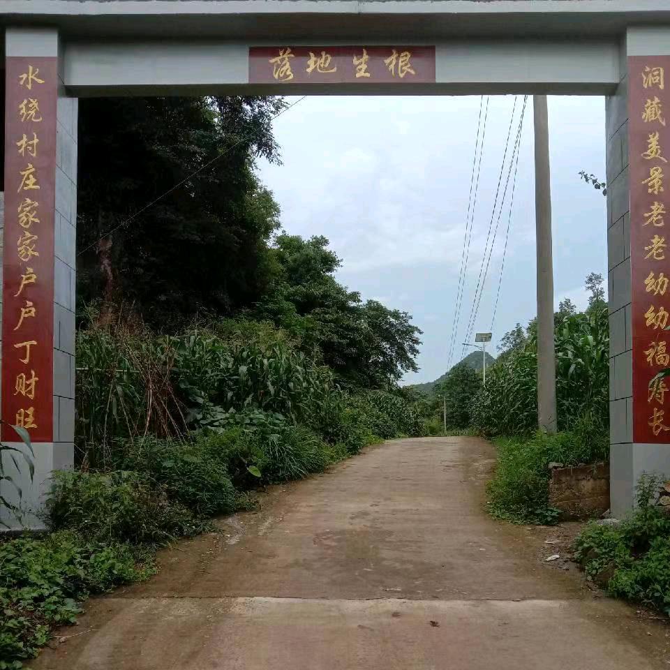 陈