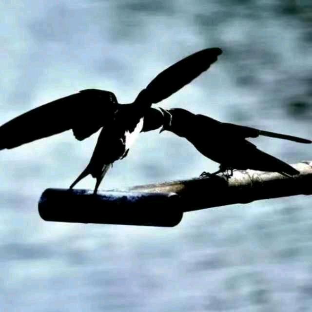 态度决定一切单反摄像