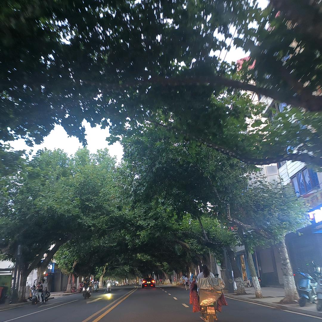 🎉🎉段小青🎉🎉