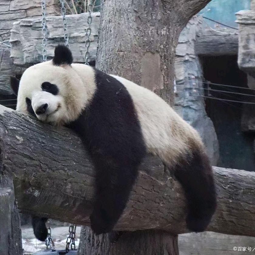 為你守葔
