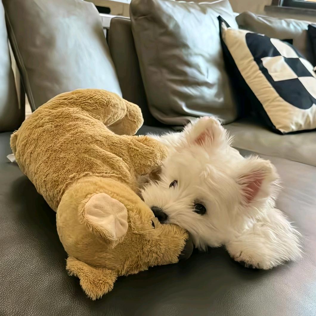 满山猴子我腚最红。