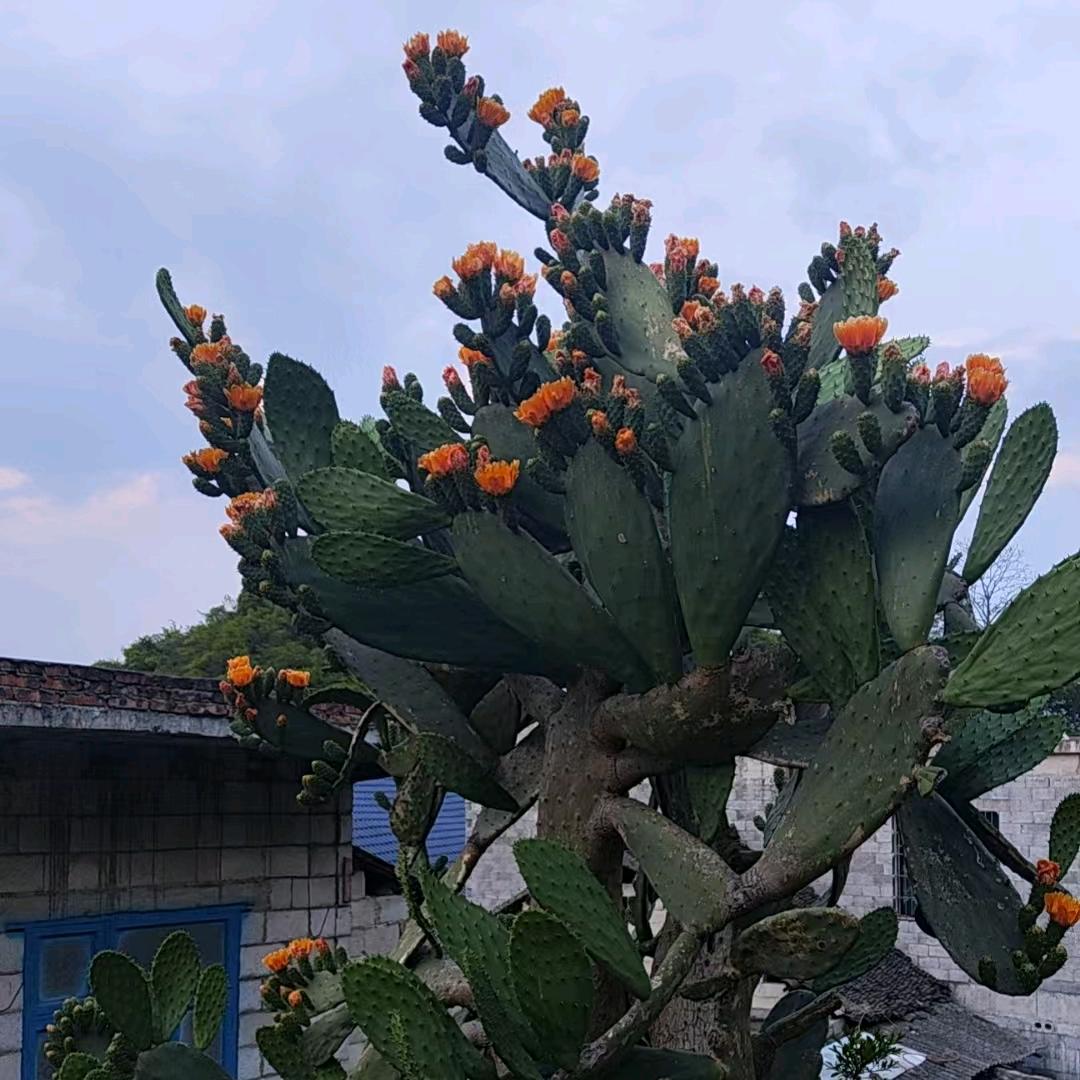 在为爱一往情深
