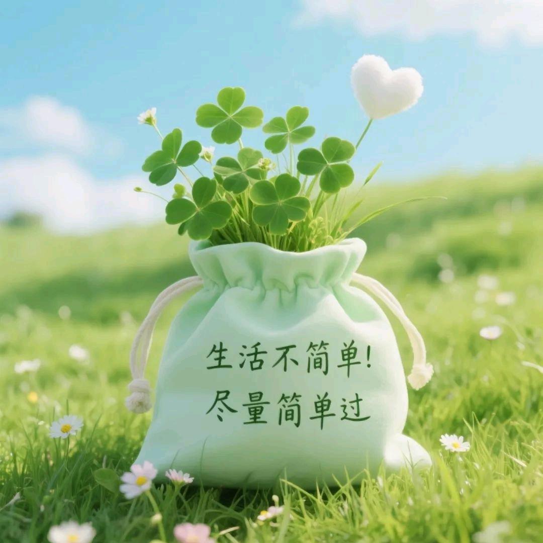 一切随心