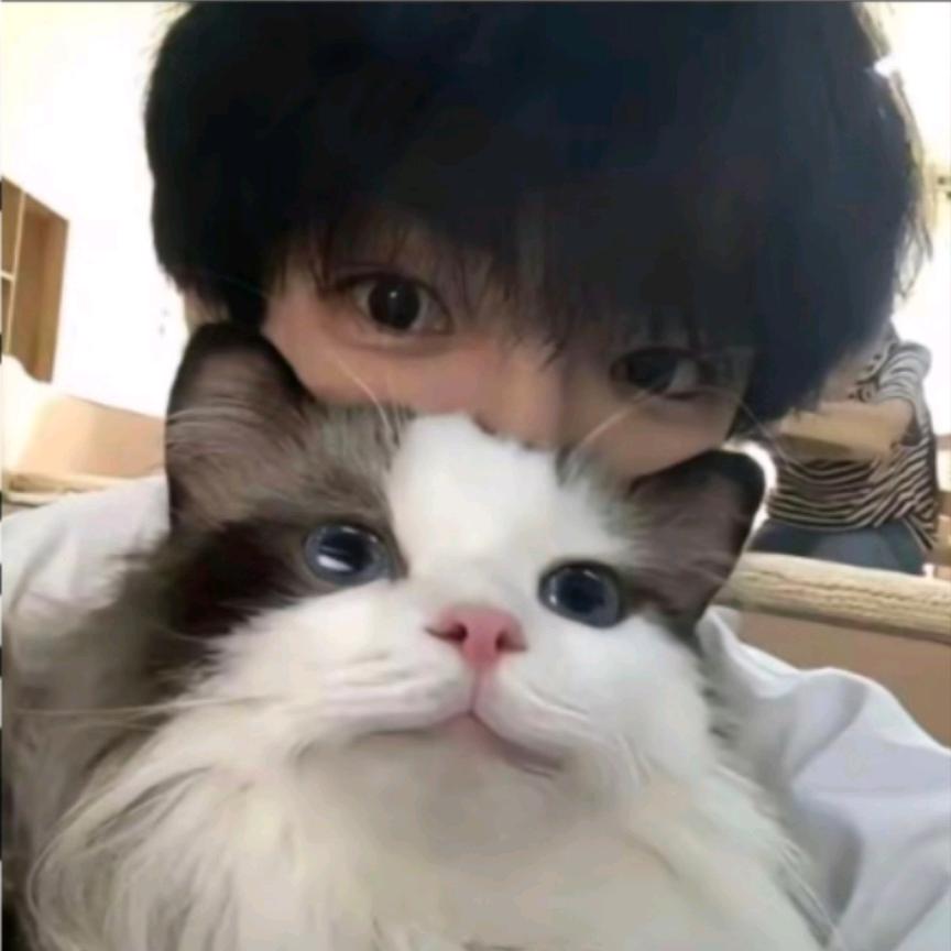 你的偏见ゞ