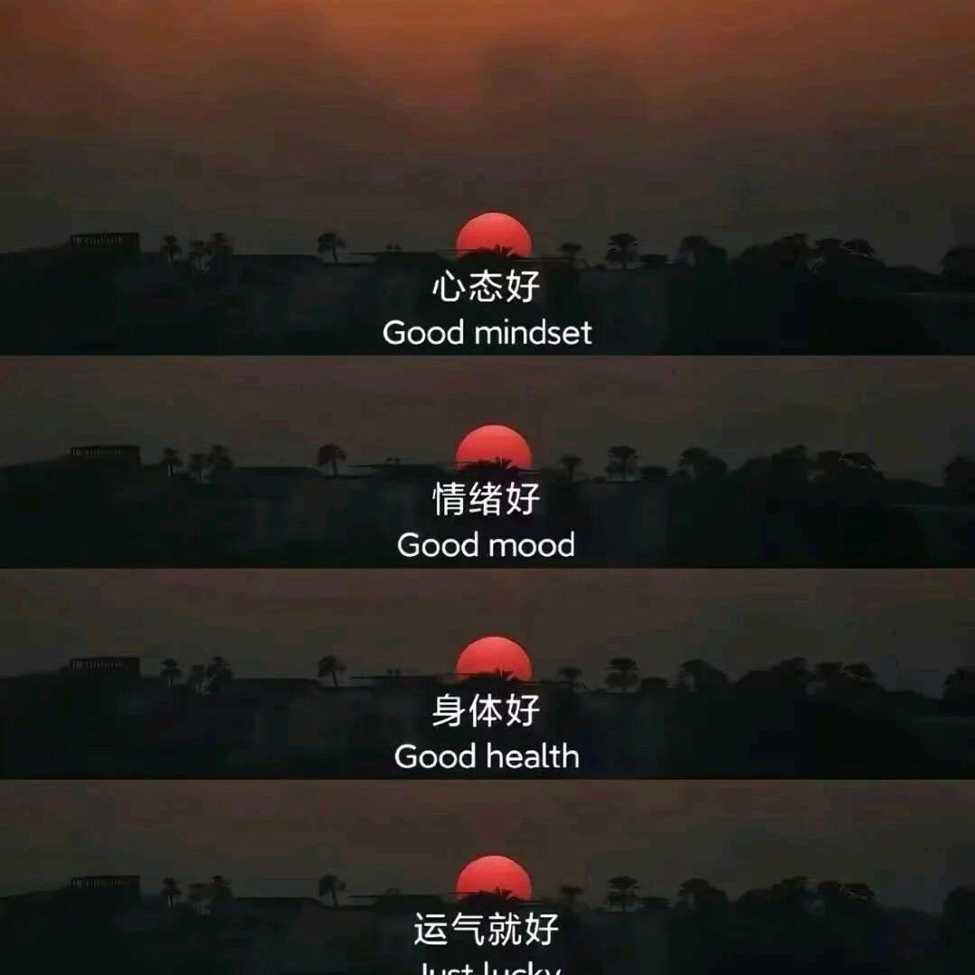 一只猪仔的快乐