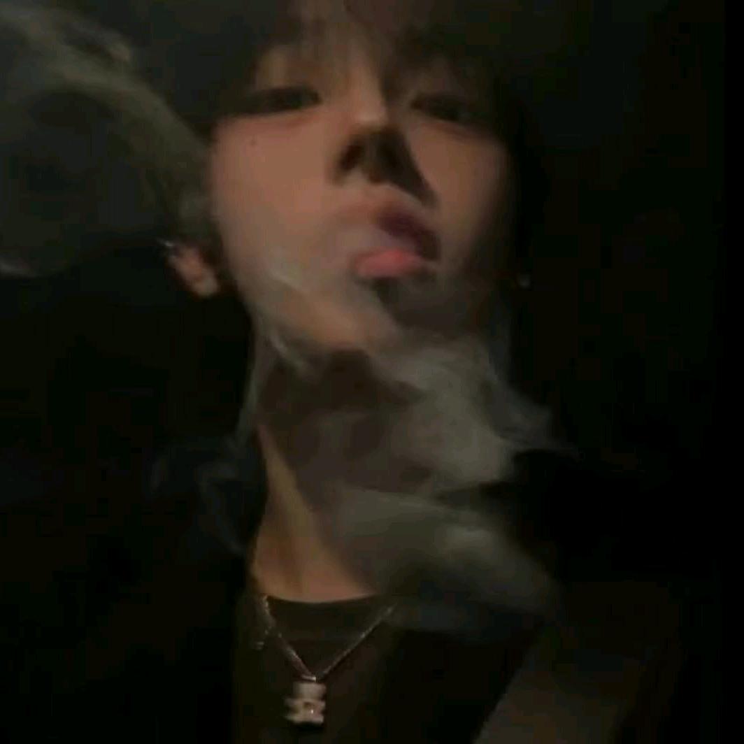 H九纹龙
