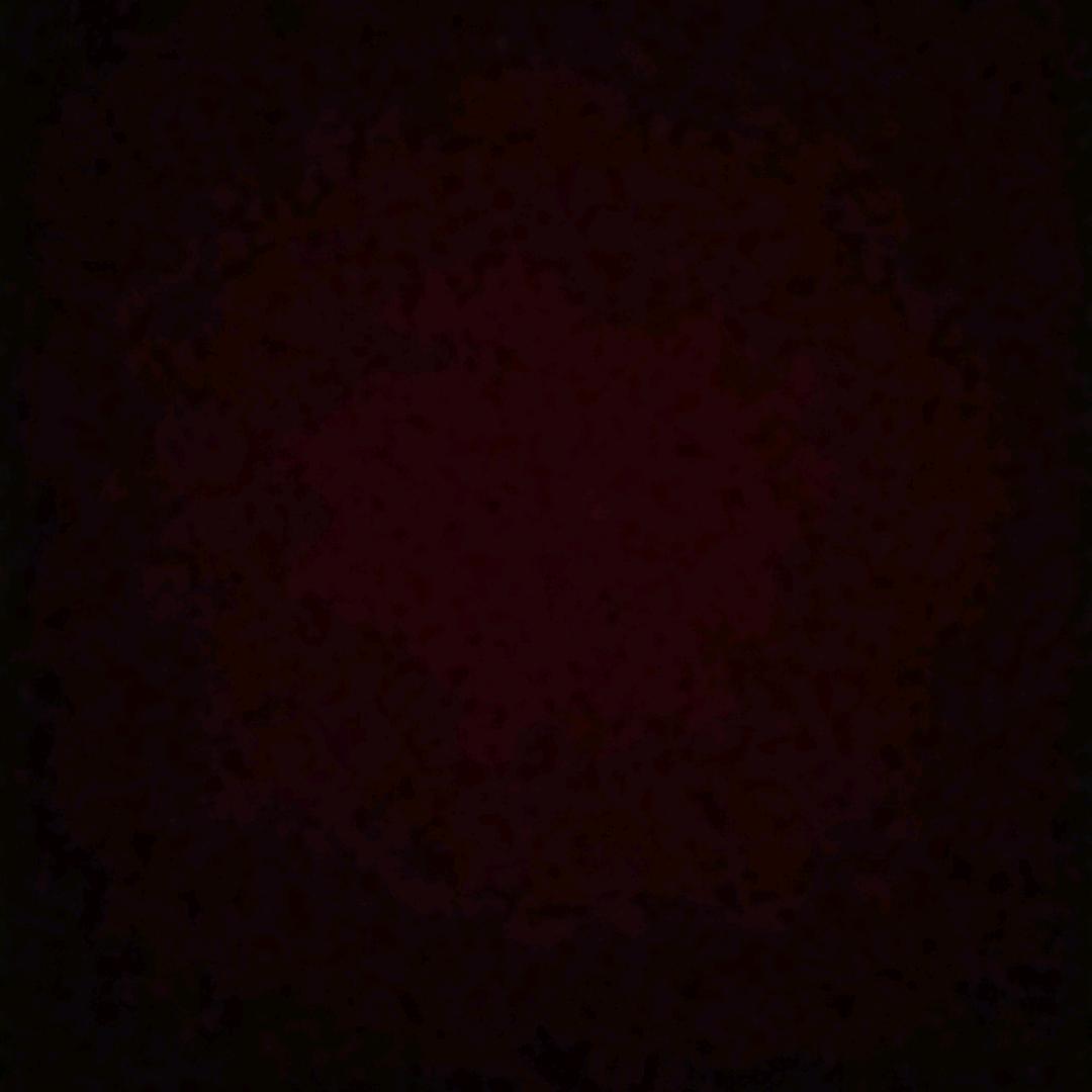 幸福(◍•ᴗ•◍)❤