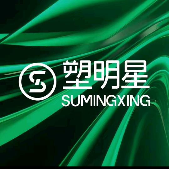 塑明星大秦战队～大银子