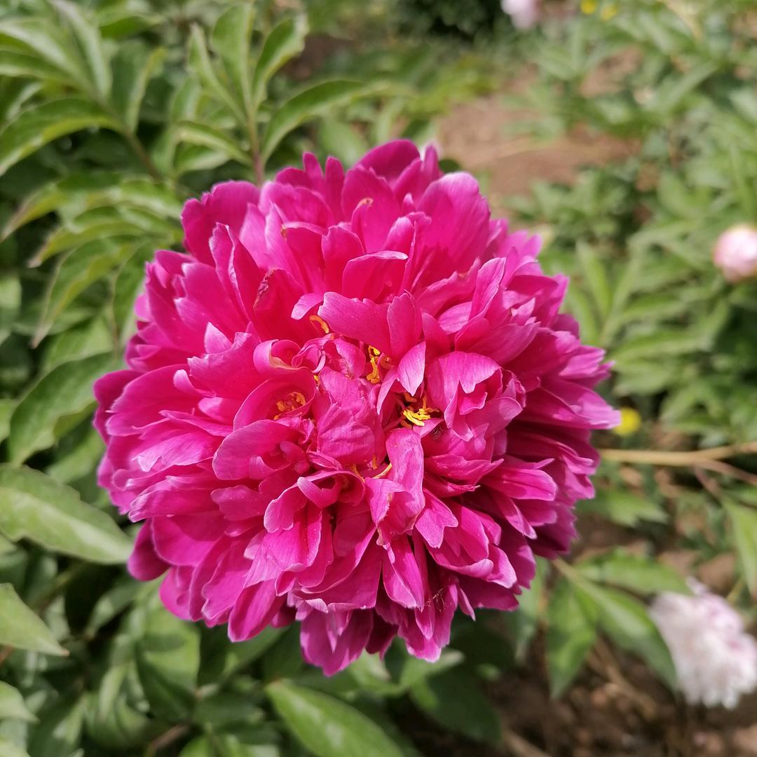 艾茉里水育王老师