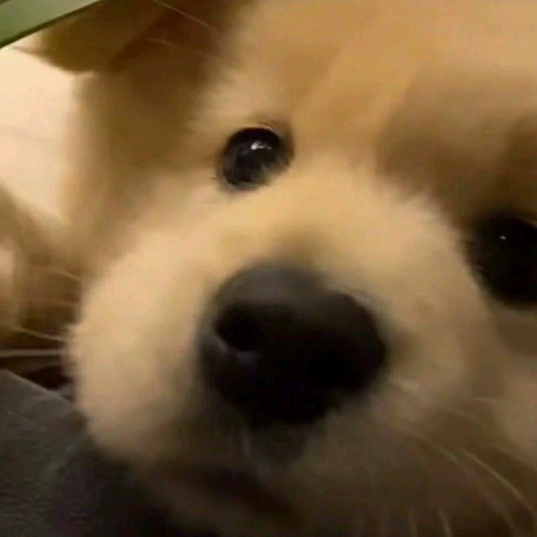 任我行