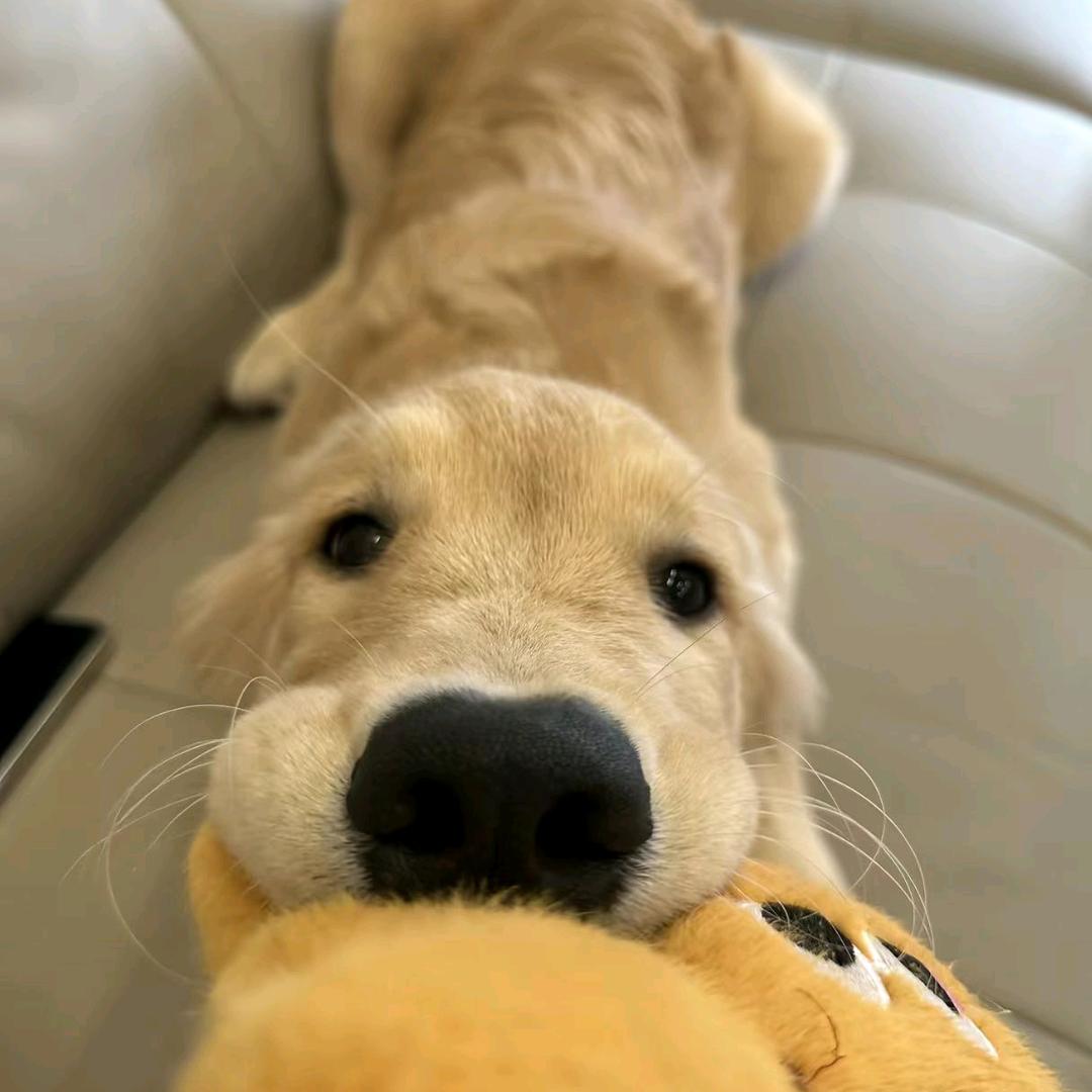 張晨曦要睡觉💤