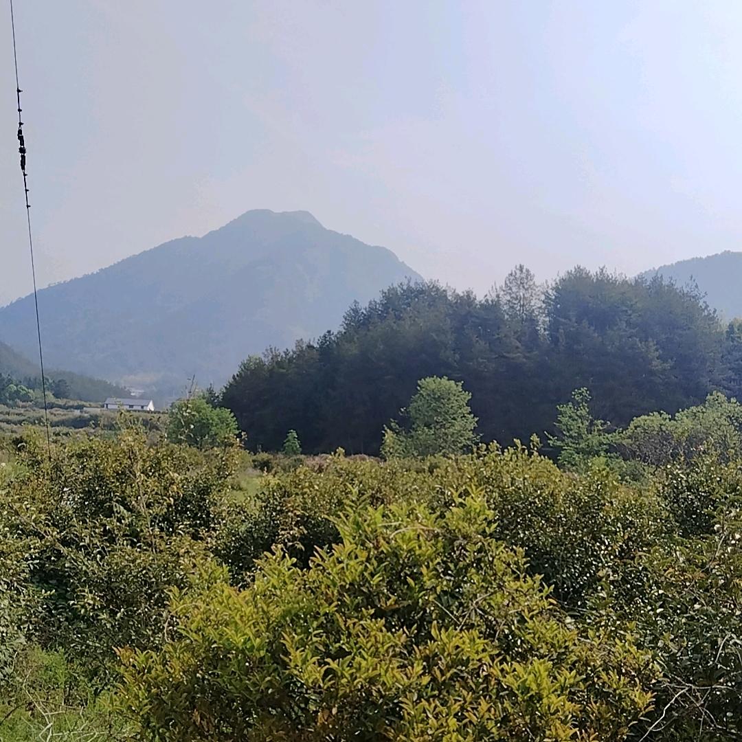 绿水青山🎤
