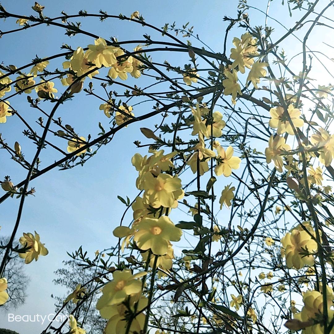 余生好好爱自己，