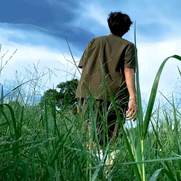 杨昕