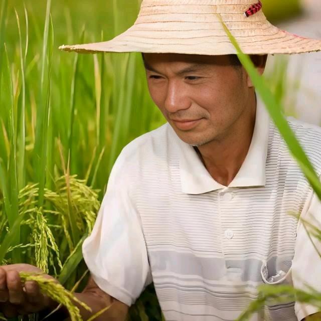 立本