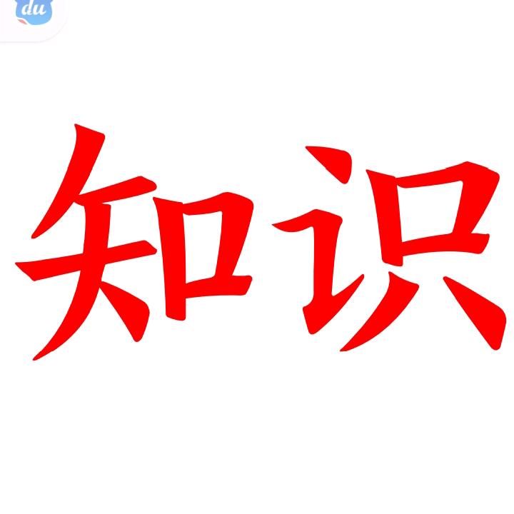 蛋仔派对博博（知识）