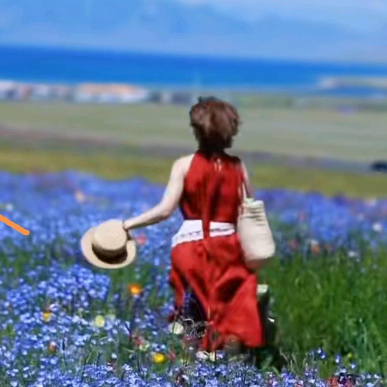 花海