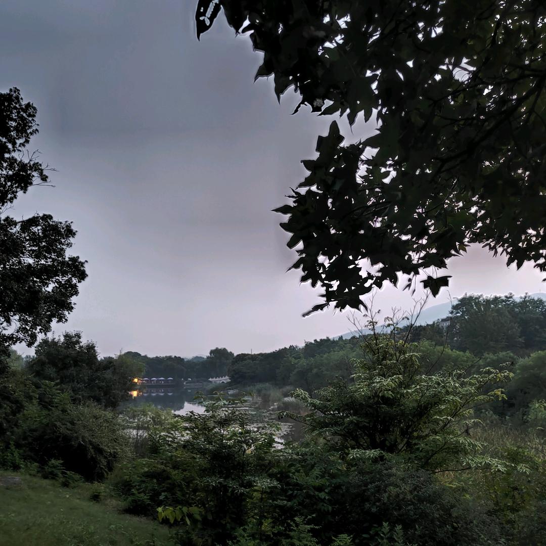 漫天花雨且随风
