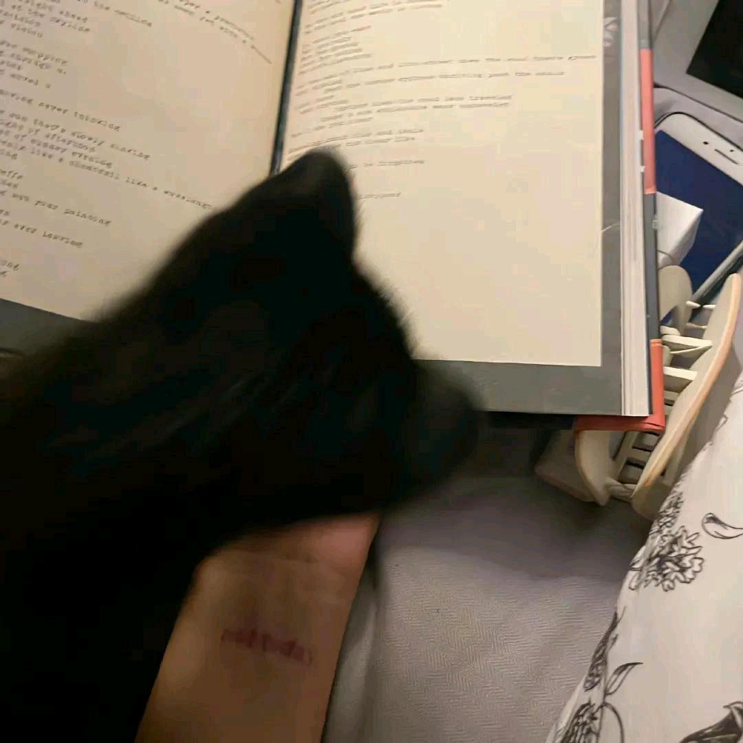 我 也 不 太 了 解 她