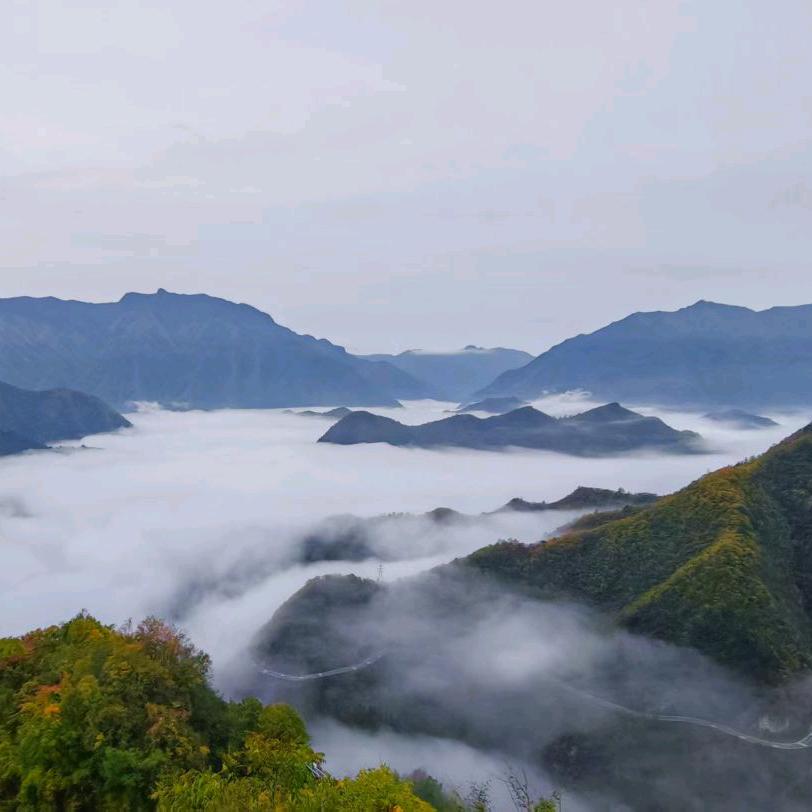 ᭄半᪲根ღ᭄烟烫᪲心ღ᭄