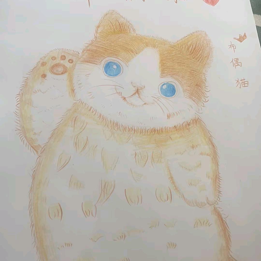 驴哥