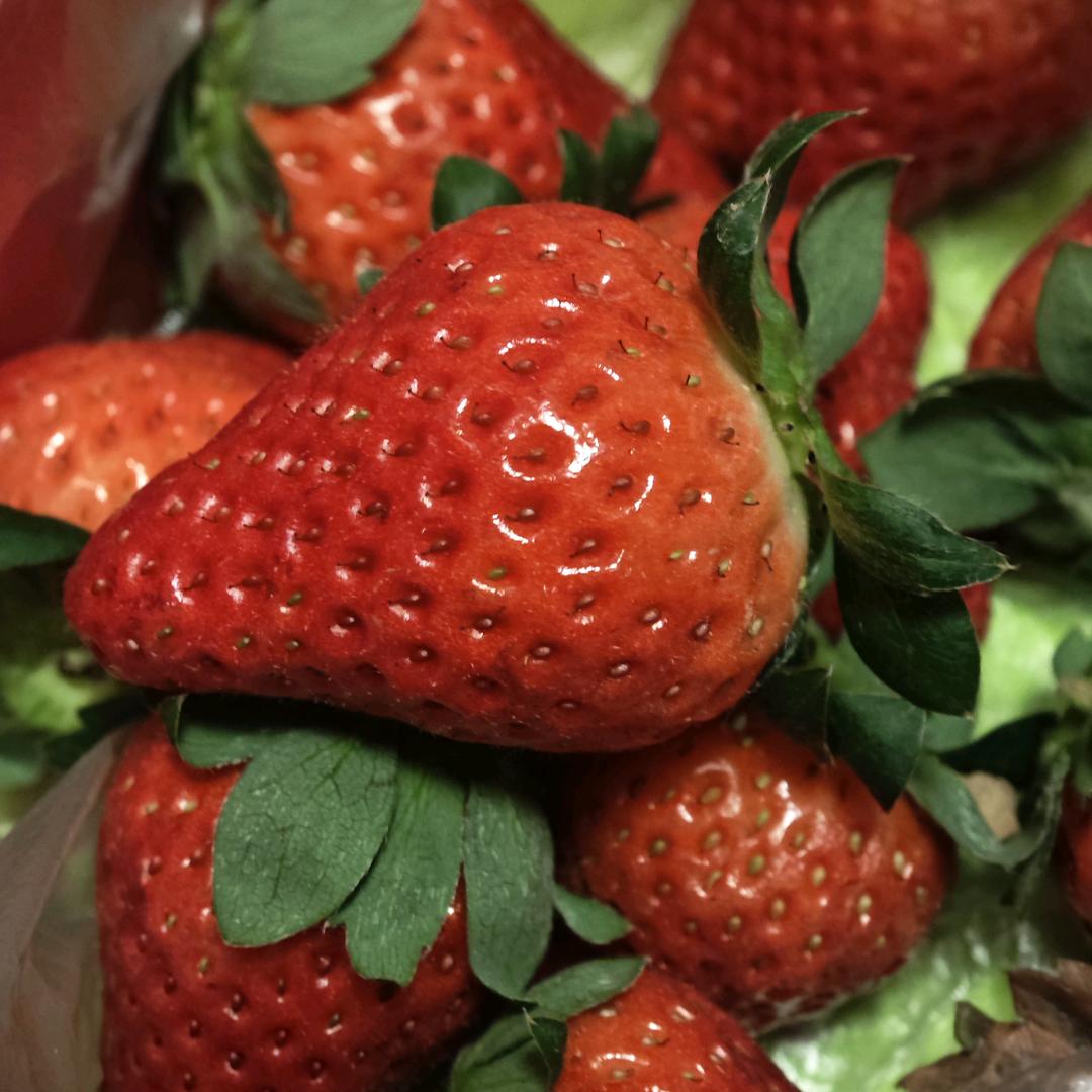 丽丽(秒回/挨骂接单)