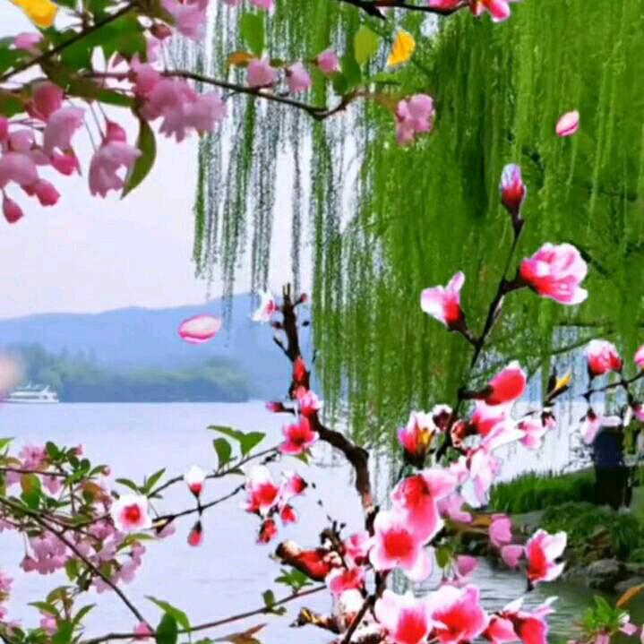 越来越好…