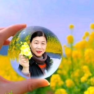望兰浅香（拒绝私聊）