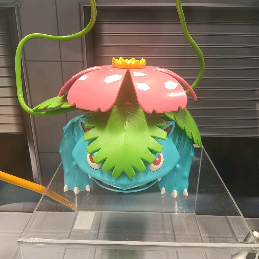 狗6家的老6