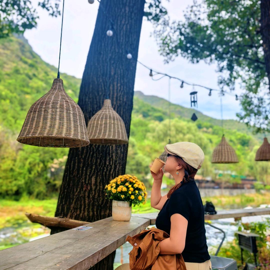 莺时