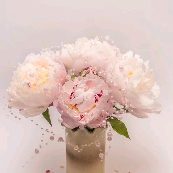 AAA